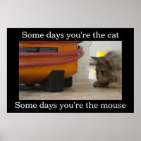 Demotivationspopster für Katzen und Maus