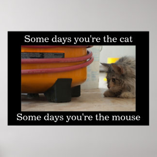 Demotivationspopster für Katzen und Maus Poster