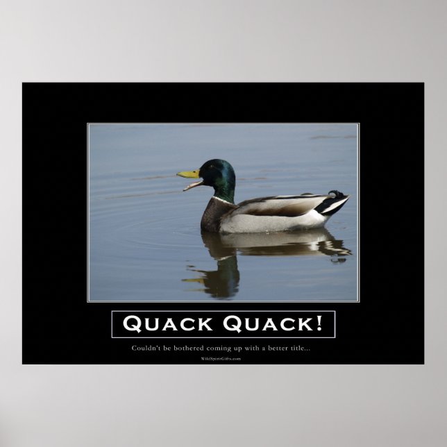 Demotivationspopster für Mallard Duck Poster (Vorne)