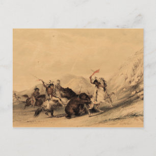 Den Grizzlybären angreifen, 1844 George Catlin Postkarte
