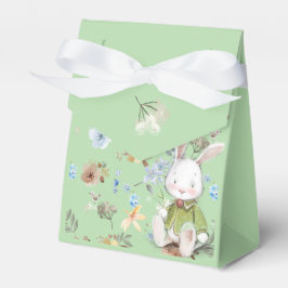 Den nya Born Presentaskar  Geschenkschachtel