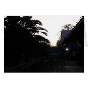 Den Sonnenuntergang beobachten