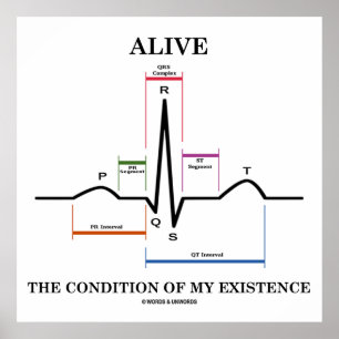 den Zustand meiner Existenz (EKG/EKG) Poster