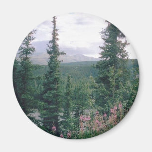 Denali - Alaska Magnet