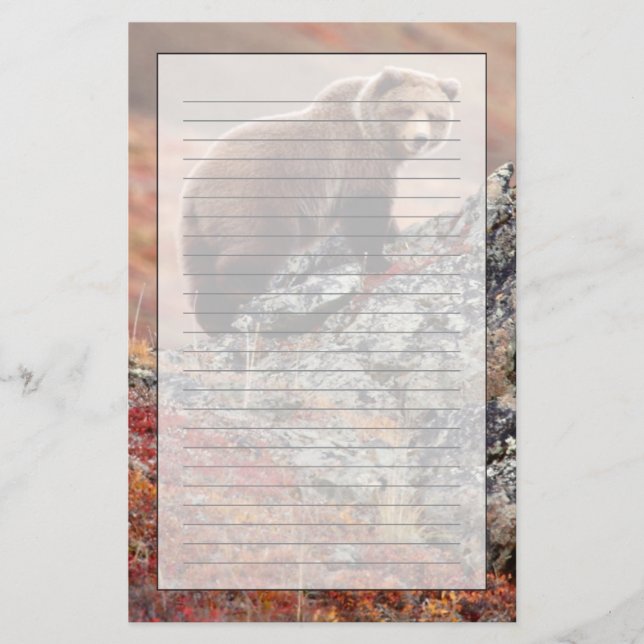 Denali Braunbär Briefpapier (Vorderseite)