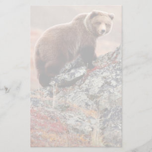 Denali Braunbär Briefpapier