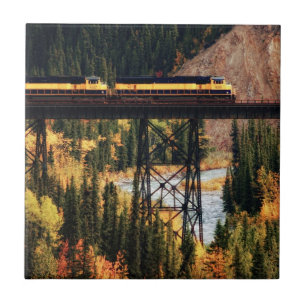 Denali Nationalpark und Konserve USA Alaska Fliese