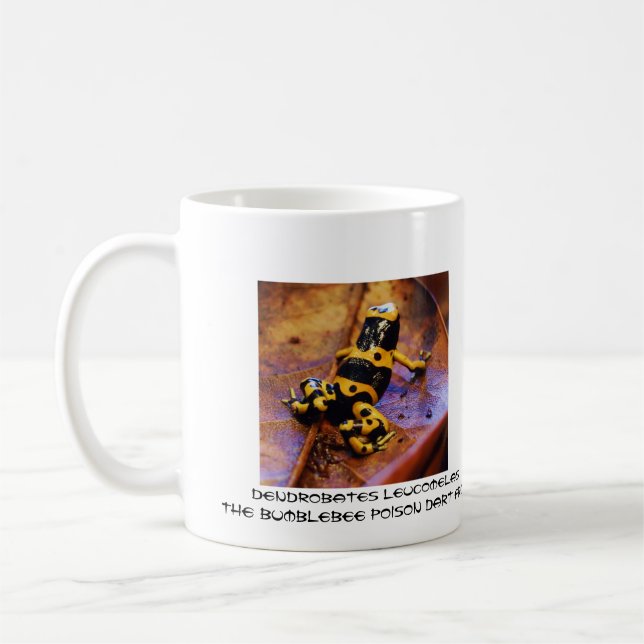 Dendrobates leucomelas kaffeetasse (Links)