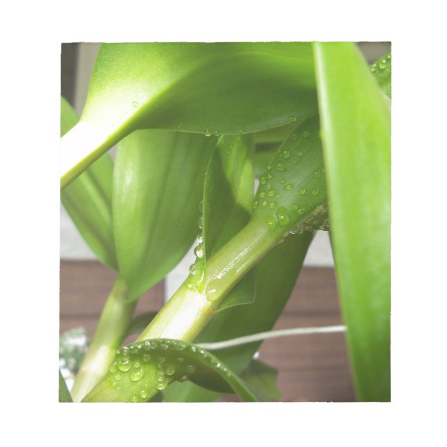 Dendrobium Orchid stems geschlossen Notizblock (Vorderseite)