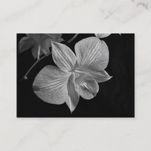 Dendrobium-Orchideen-Blüte ATC-Karte Visitenkarte (Vorderseite)