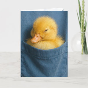 Denk an dich, Entlein in einer blauen T-Shirt-Tasc Karte