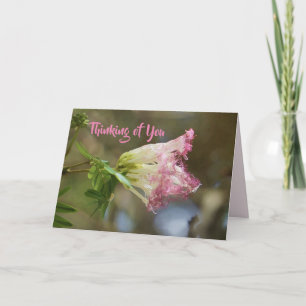 Denk an Dich Lacy Rosa Blume Karte