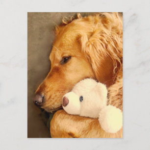 Denk an dich süßer trauriger Golden Retriever Hund Postkarte