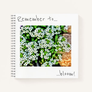 Denke daran zu blühen Weiße kleine Blumen Notizbuc Notizbuch