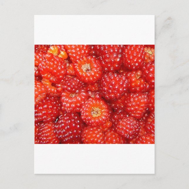 DENKE RASPBERRY! POSTKARTE (Vorderseite)