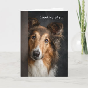 Denken an Dich Collie Karte