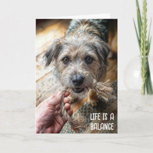Denken an Dich Hunde Tauziehen Karte