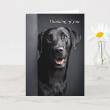 Denken an Ihren Labrador Retriever