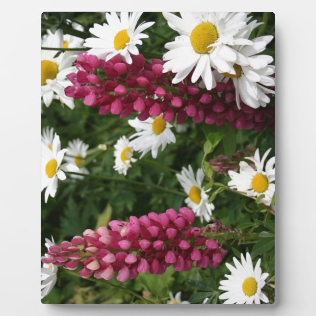 Denken an Sie Blumenblüten Fotoplatte (Vorderseite)