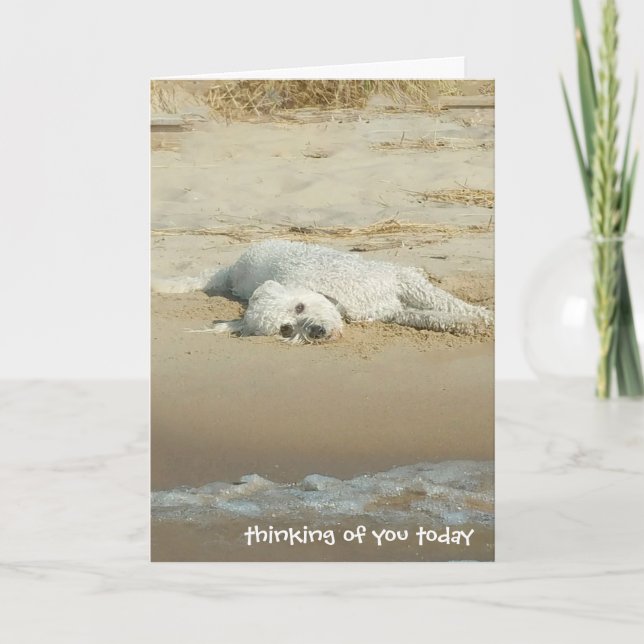 Denken an Sie-goldendoodle legend auf Strand Karte (Vorderseite)
