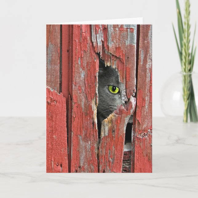 Denken an Sie Katze Karte (Vorderseite)