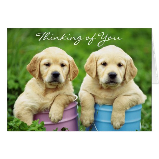 Denken an Sie Labrador retriever-Welpen-Karte Karte