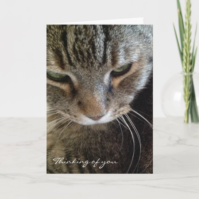 Denken an Sie lustige Tabby-Katzen-Karte Karte (Vorderseite)