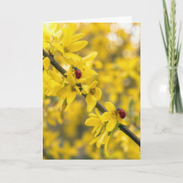 Denken an Sie Marienkäfer auf Forsythienzweig Karte