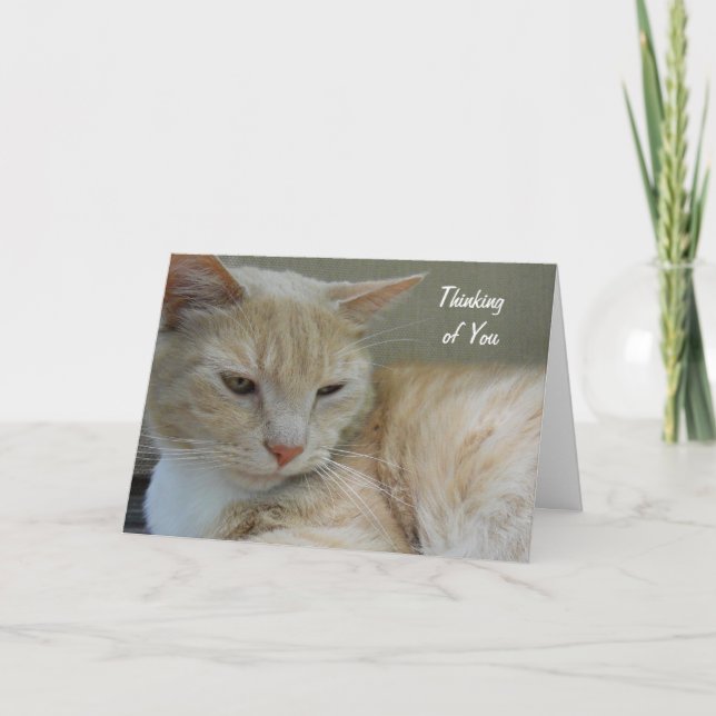 DENKEN AN SIE niedliche Katzen-tierische Karte (Vorderseite)