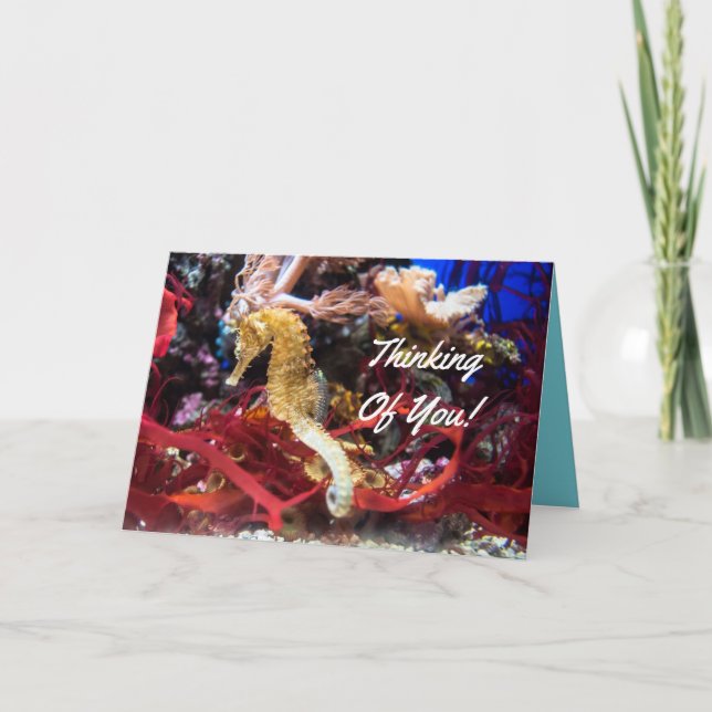 Denken an Sie Seepferd Karte (Vorderseite)