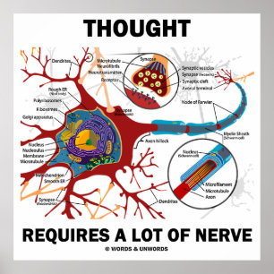 Denken erfordert eine Menge Nerv (Neuron/Synapse) Poster