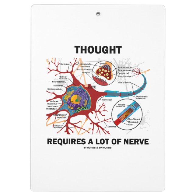 Denken erfordert eine Menge Nervenneuronensynapse Klemmbrett (Rückseite)