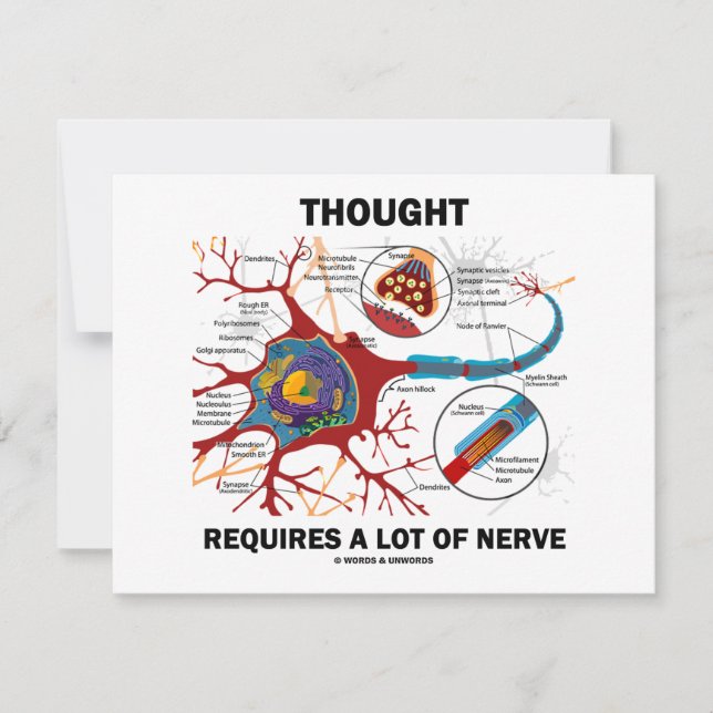 Denken erfordert viel Nerv (Synapse) (Vorderseite)