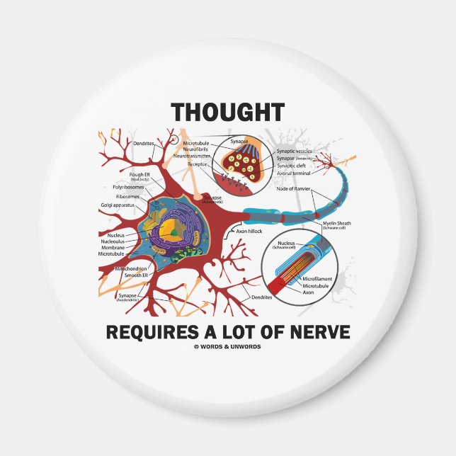 Denken erfordert viel Nerv (Synapse) Magnet (Vorne)