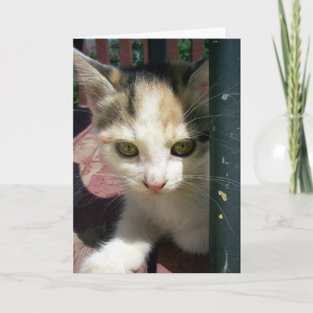 Denken Karte (Vorderseite)