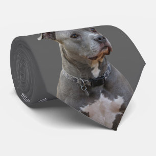 Denken Pitbull Krawatte