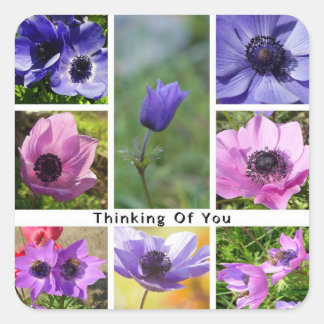 Denken Sie an Anemone Foto Collage Quadratischer Aufkleber