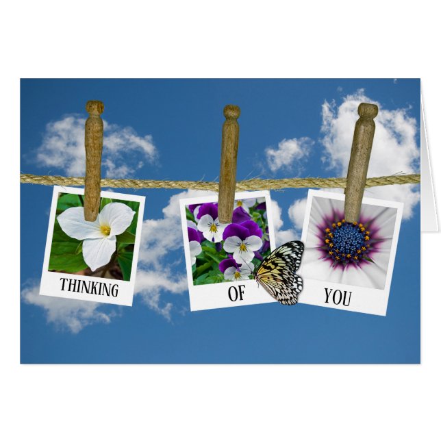 Denken Sie an blumengeschmückte Fotos auf Wäschele (Vorderseite (Horizontal))