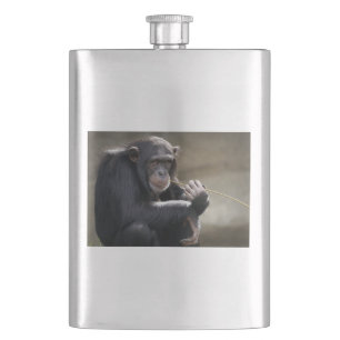 Denken Sie an das Monkeying Flachmann