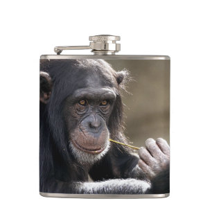 Denken Sie an das Monkeying Flachmann