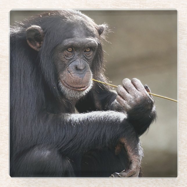Denken Sie an das Monkeying Glasuntersetzer (Vorderseite)
