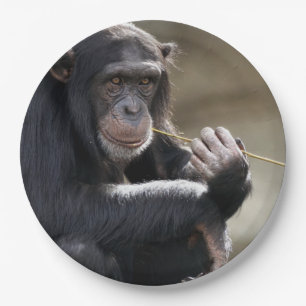 Denken Sie an das Monkeying Pappteller