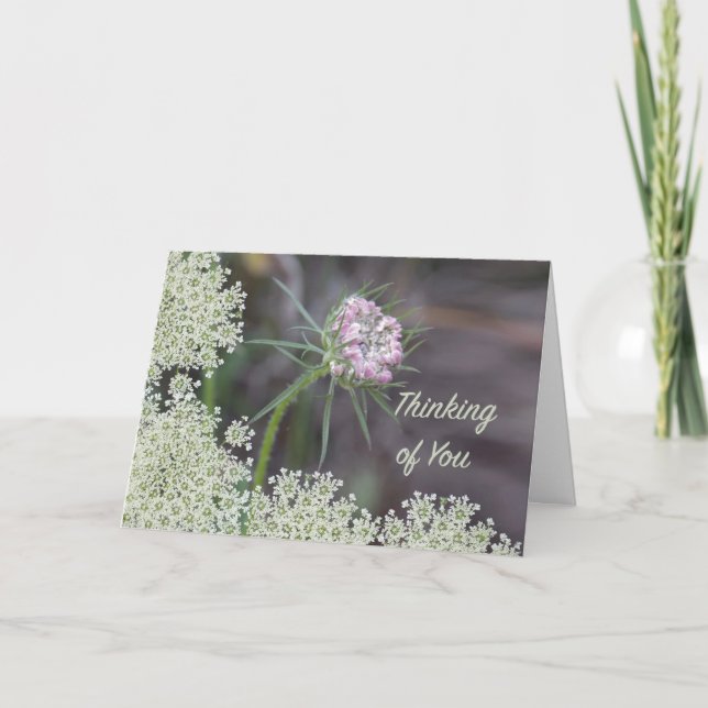 Denken Sie an die Blume von Königin Anne Karte (Vorderseite)