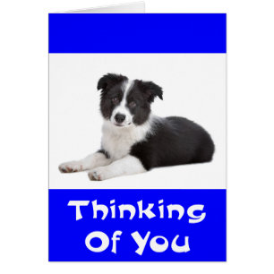 Denken Sie an die Grenz-Collie-Welpen-Hundekarte
