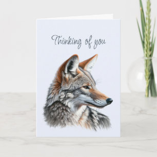 Denken Sie an ein schönes Tier der Coyote Wildtier Karte