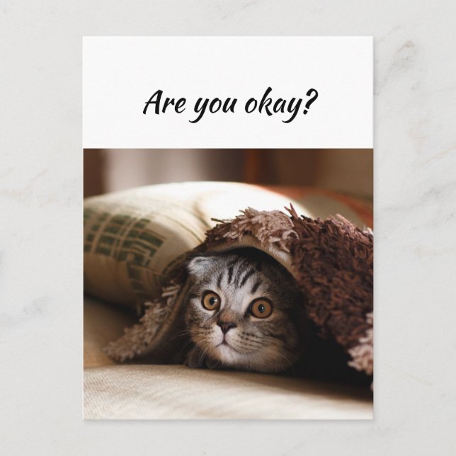 Denken Sie an Funny Cat Lass Me weiß, dass es Ihne Postkarte (Vorderseite)