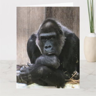 DENKEN SIE AN GORILLA GROSSE GREETING CARD KARTE