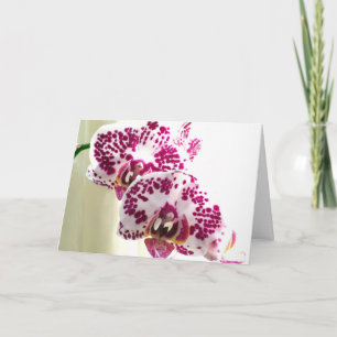 Denken Sie an Ihr abwechslungsreiches Lila Orchid- Karte