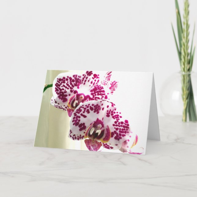 Denken Sie an Ihr abwechslungsreiches Lila Orchid- Karte (Vorderseite)