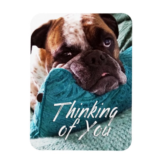 Denken Sie an Ihr Bulldog Foto Beileid Magnet (Vertikal)